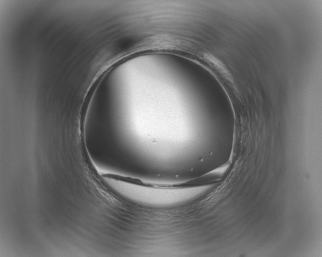 X0000073491226200608140833