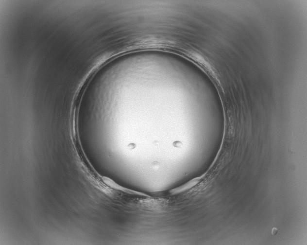 X0000073491227200608140833