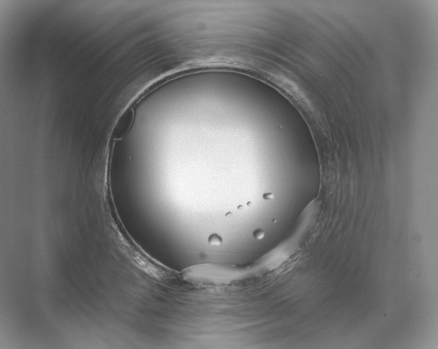 X0000073491228200608140833