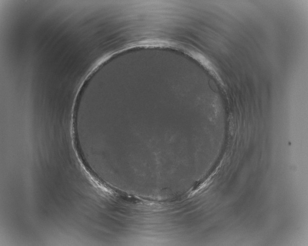 X0000073491229200608140833