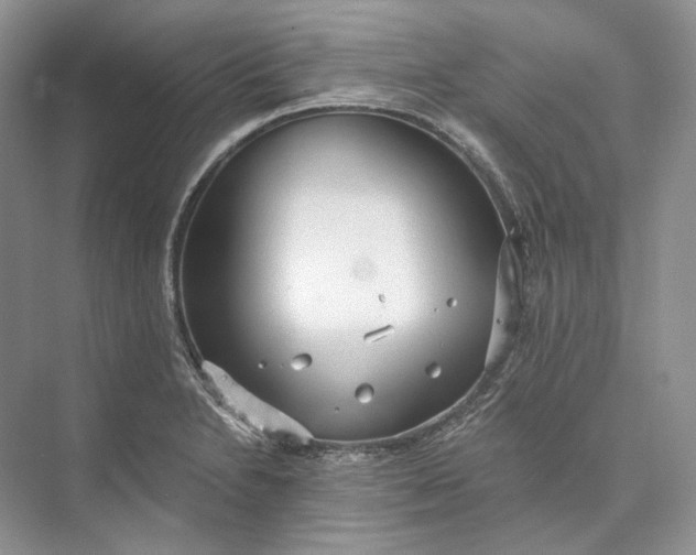 X0000073491230200608140834