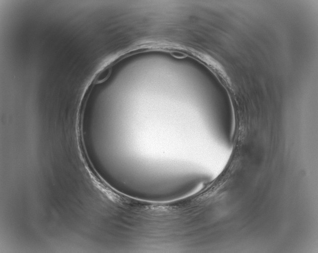 X0000073491231200608140834