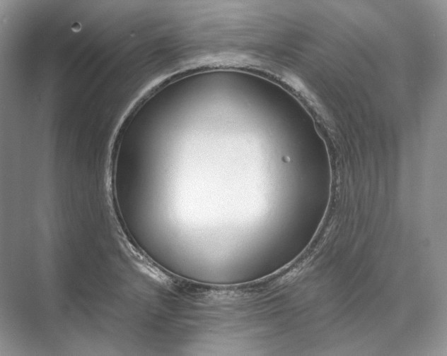 X0000073491232200608140834