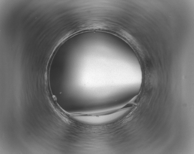 X0000073491234200608140834