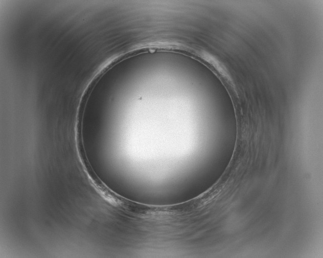 X0000073491237200608140834