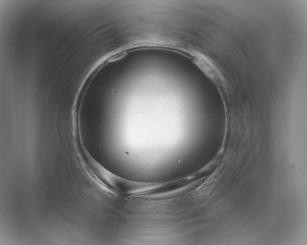 X0000073491238200608140834