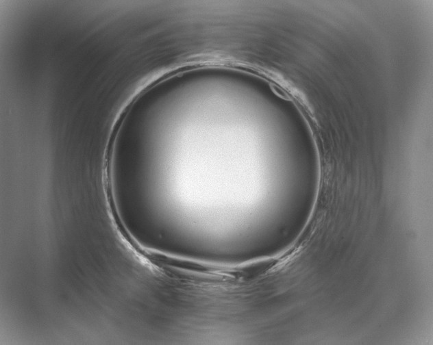 X0000073491239200608140834