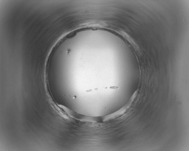 X0000073491240200608140834