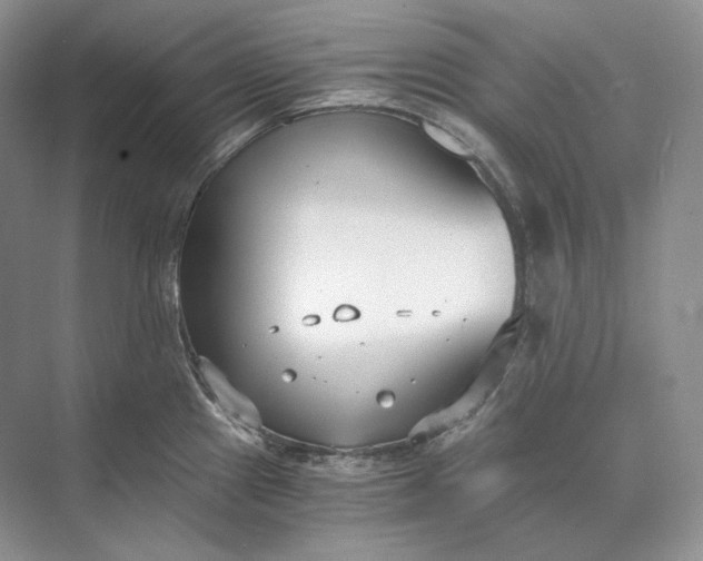 X0000073491241200608140834