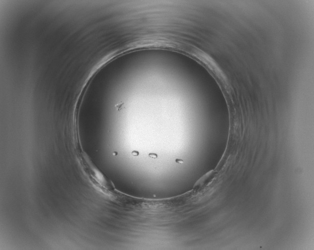 X0000073491242200608140834