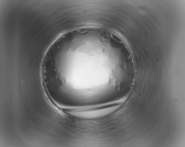 X0000073491243200608140834