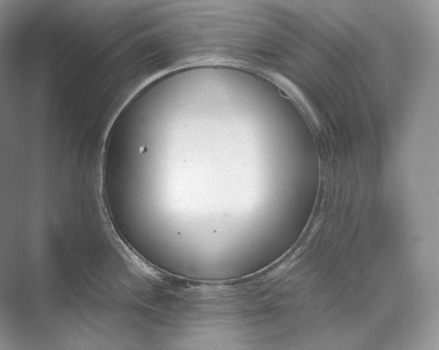 X0000073491244200608140834