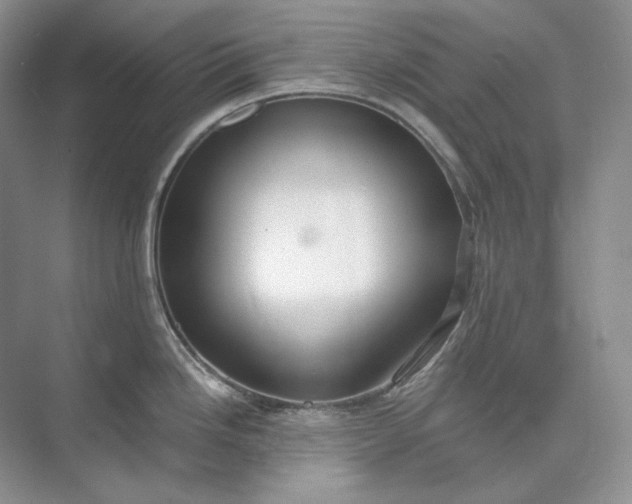 X0000073491246200608140834