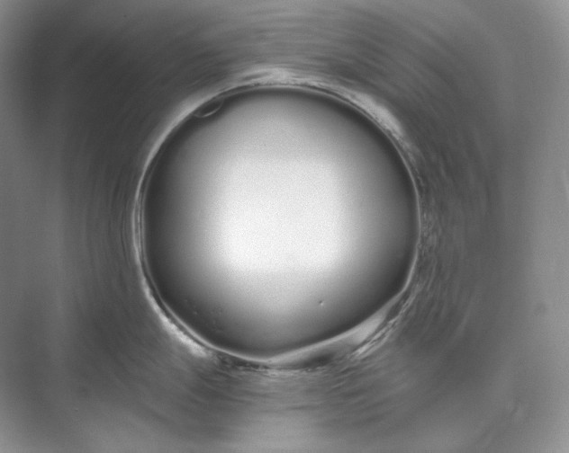 X0000073491247200608140834