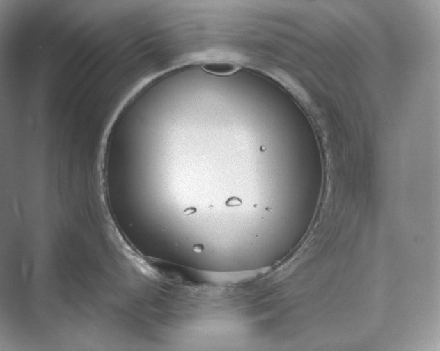 X0000073491248200608140834