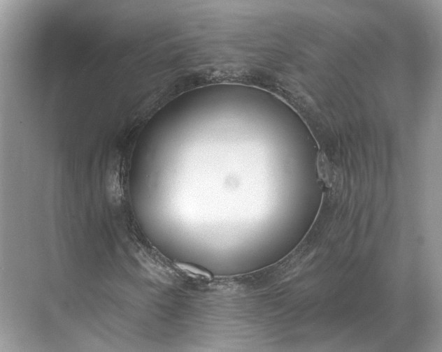 X0000073491250200608140833