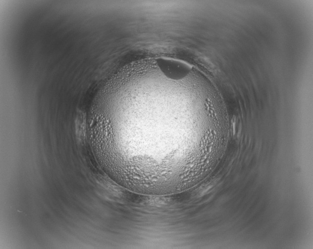 X0000073491251200608140833