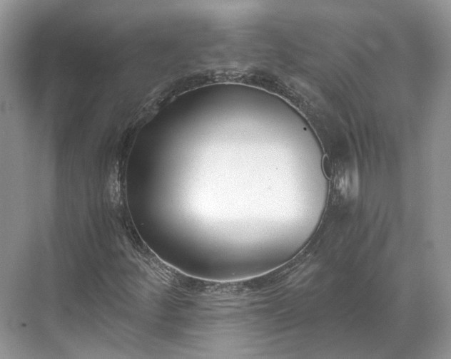 X0000073491252200608140833