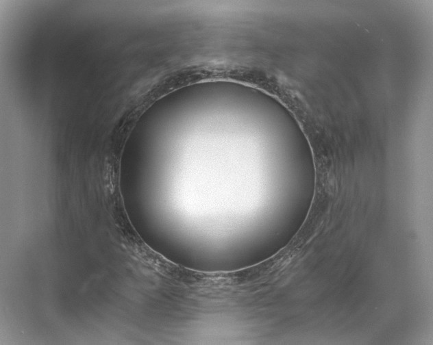 X0000073491253200608140833