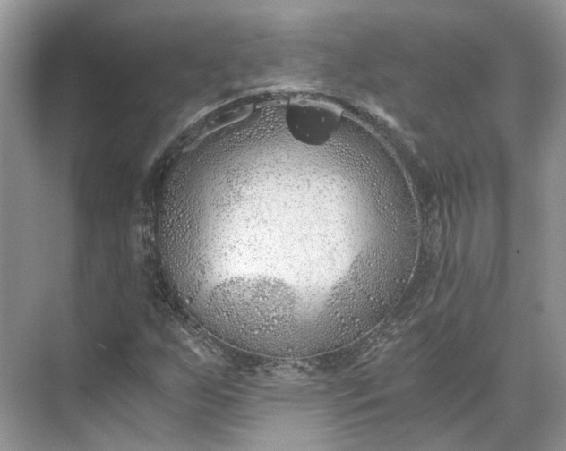 X0000073491255200608140833