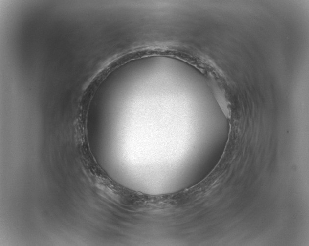 X0000073491256200608140833