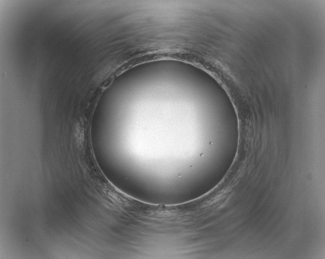 X0000073491257200608140833