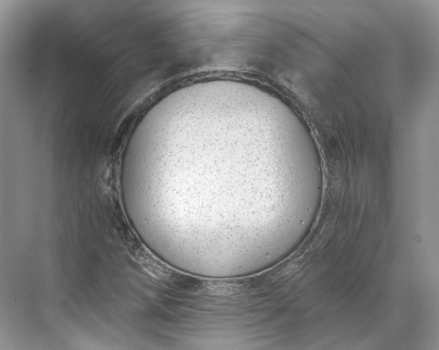 X0000073491258200608140833