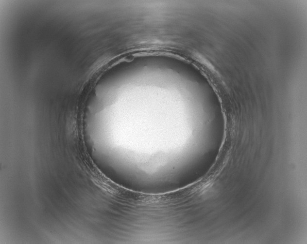 X0000073491259200608140833