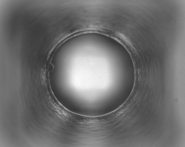 X0000073491260200608140833