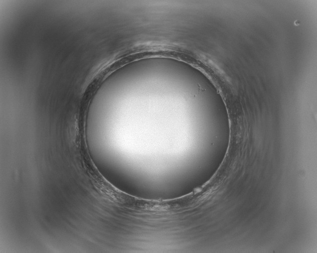 X0000073491261200608140833