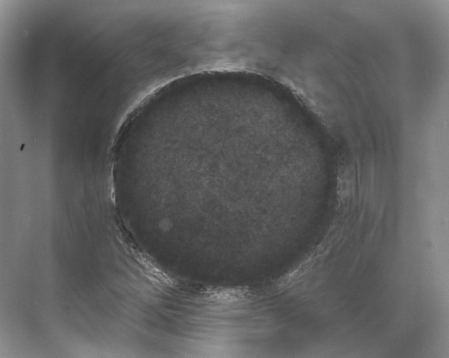 X0000073491262200608140833