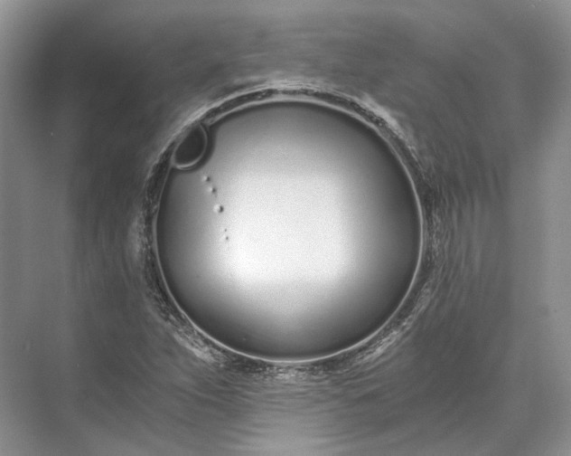 X0000073491263200608140833