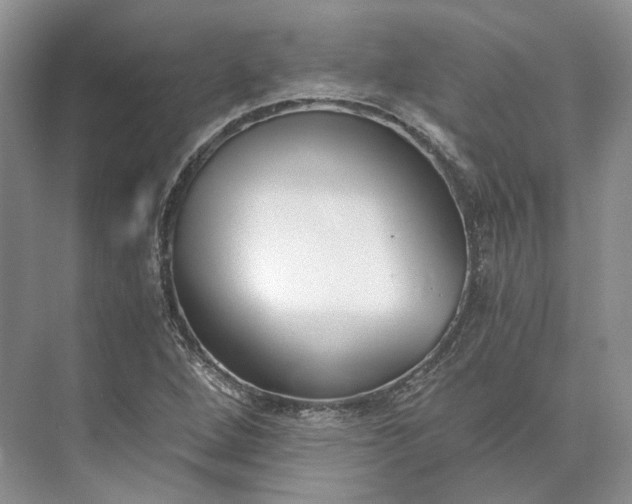 X0000073491264200608140833