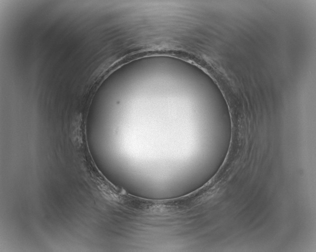 X0000073491265200608140833