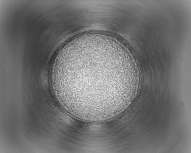 X0000073491266200608140833