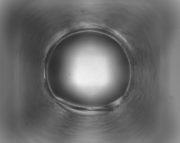 X0000073491269200608140833