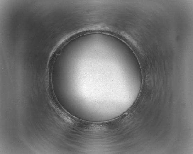 X0000073491270200608140833