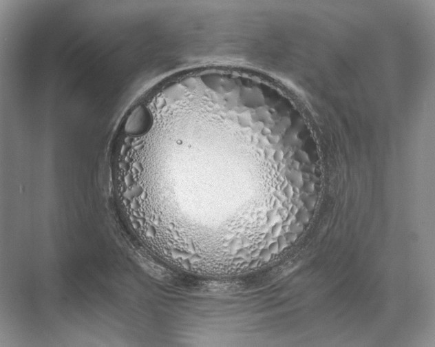 X0000073491271200608140833