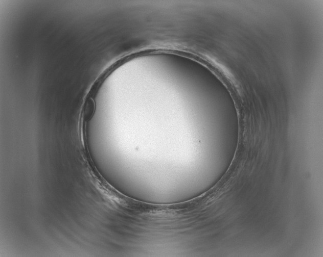 X0000073491272200608140833