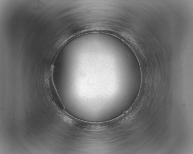 X0000073491273200608140833