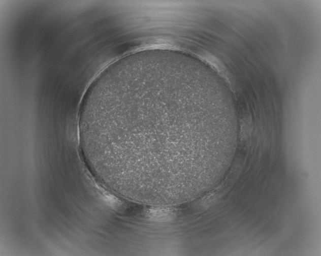 X0000073491274200608140833