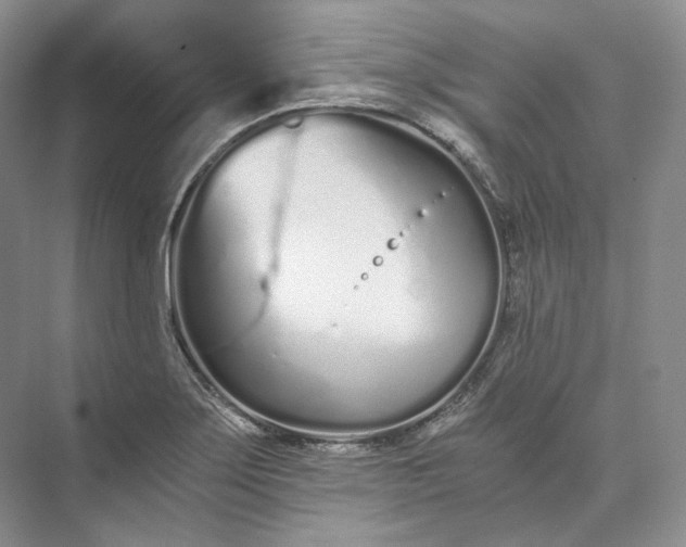 X0000073491275200608140833