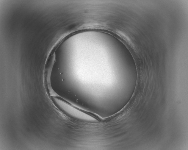 X0000073491277200608140833