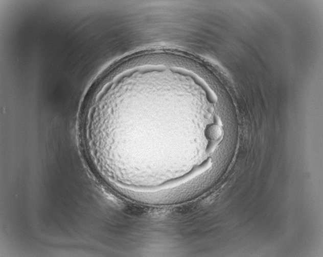 X0000073491278200608140833