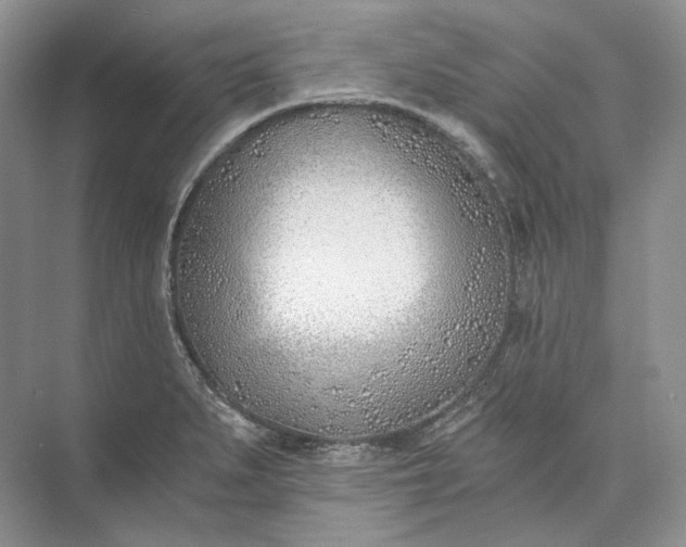 X0000073491279200608140832