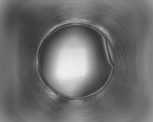 X0000073491280200608140832