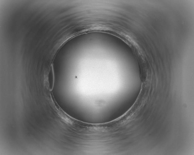 X0000073491281200608140832