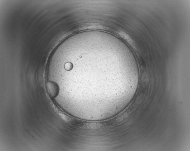 X0000073491282200608140832