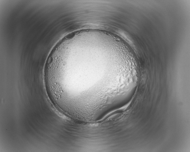 X0000073491283200608140832