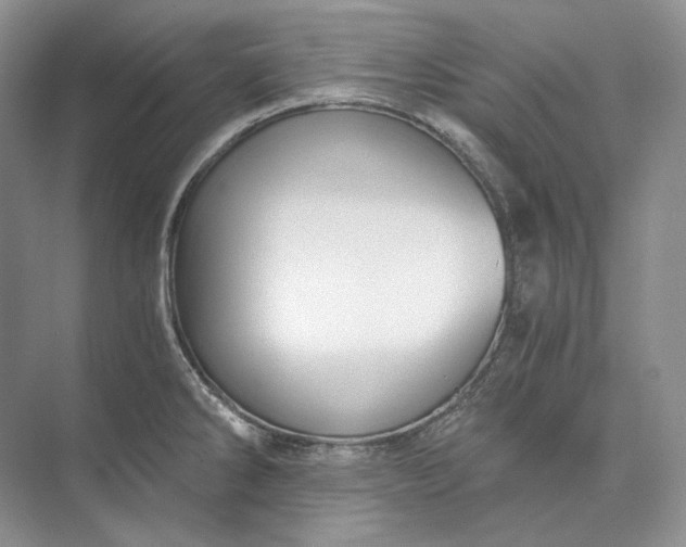 X0000073491286200608140832